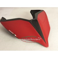 Carbonvani - Ducati Panigale / Streetfighter V4 / V2 / S / R / Speciale Carbon Fiber Tail - RED - Road Version